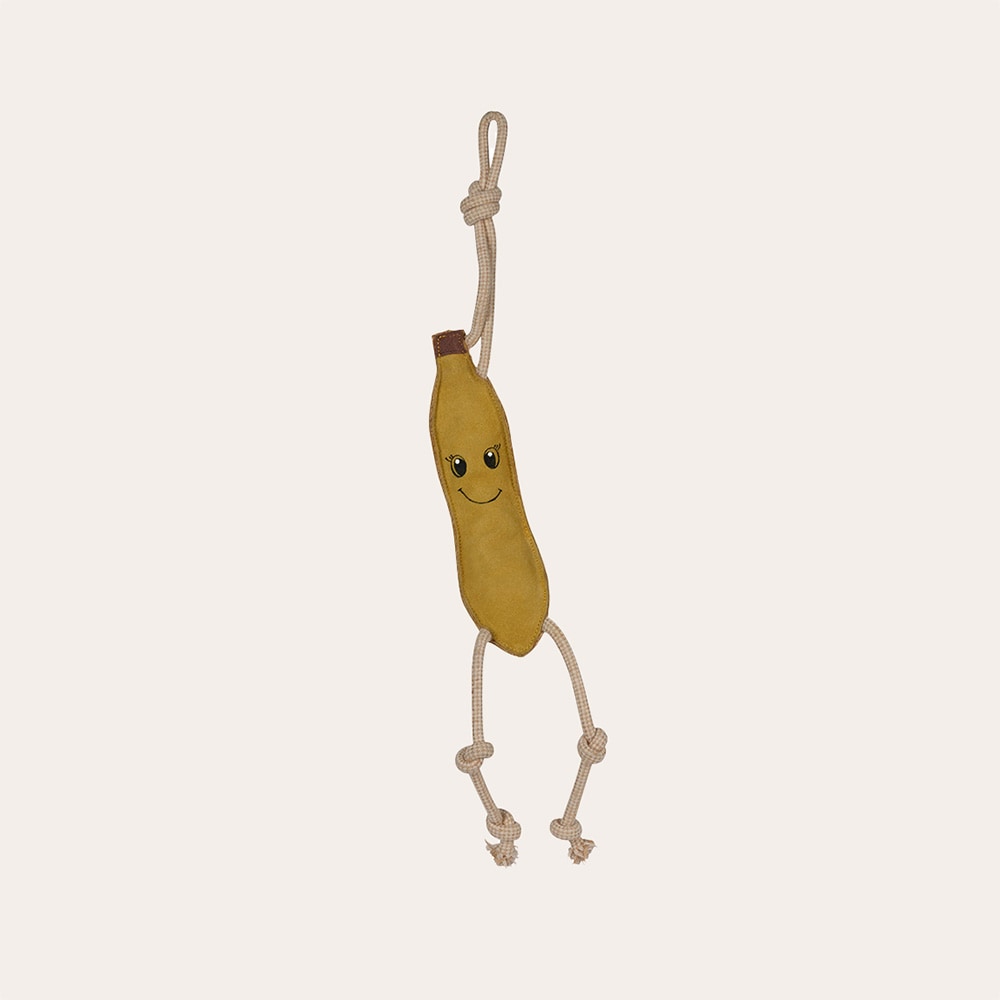 Karsinalelu  Banan Hansbo