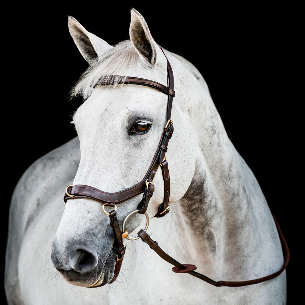 Suitset  Micklem Multibridle Horseware®