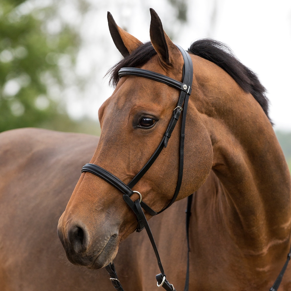 Kuolaimettomat Suitset Fairfield®