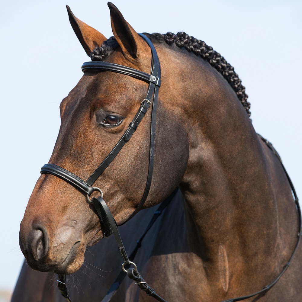 Kuolaimettomat Suitset Fairfield®