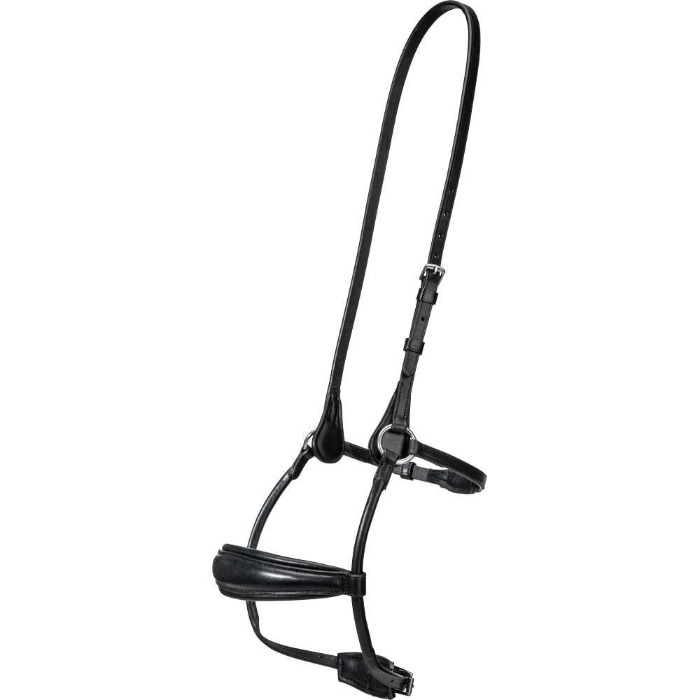 Turpahihna Carl JH Collection®