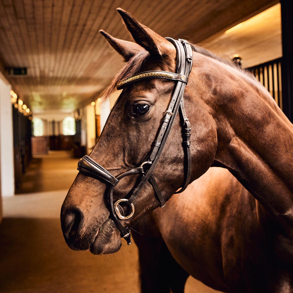 Turpahihna Carl JH Collection®