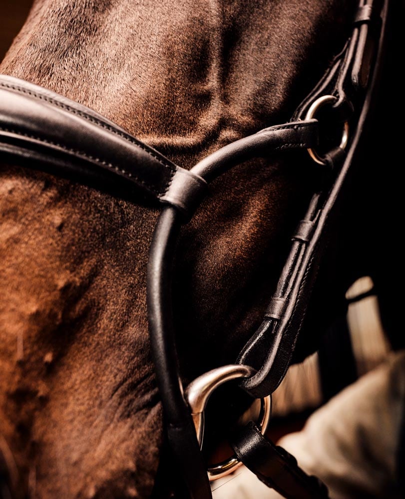 Turpahihna Carl JH Collection®