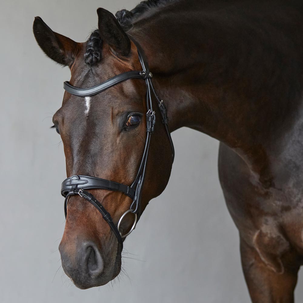 Aachensuitset Hyperion Fairfield®