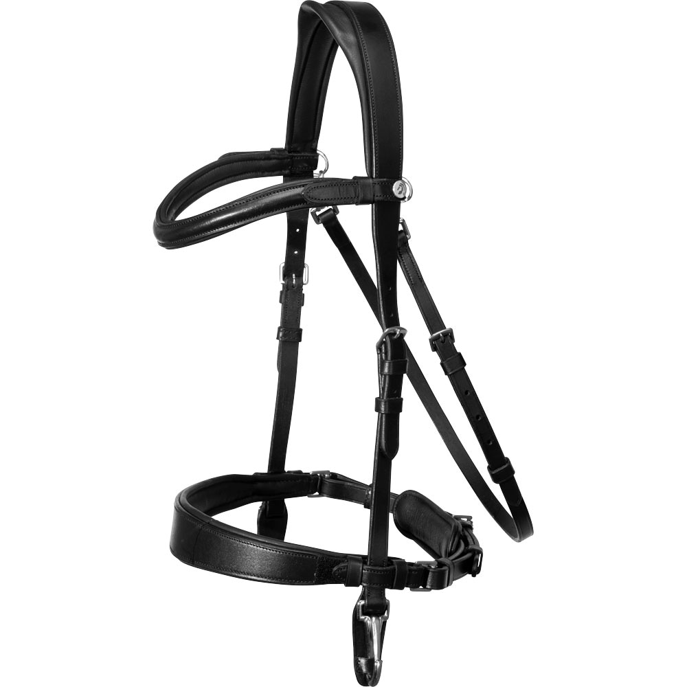 Suitset Frondeur Fairfield®