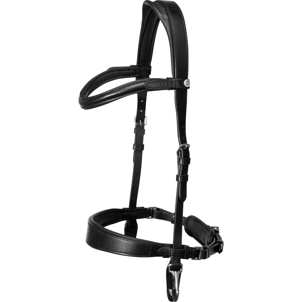 Suitset Frondeur Fairfield®