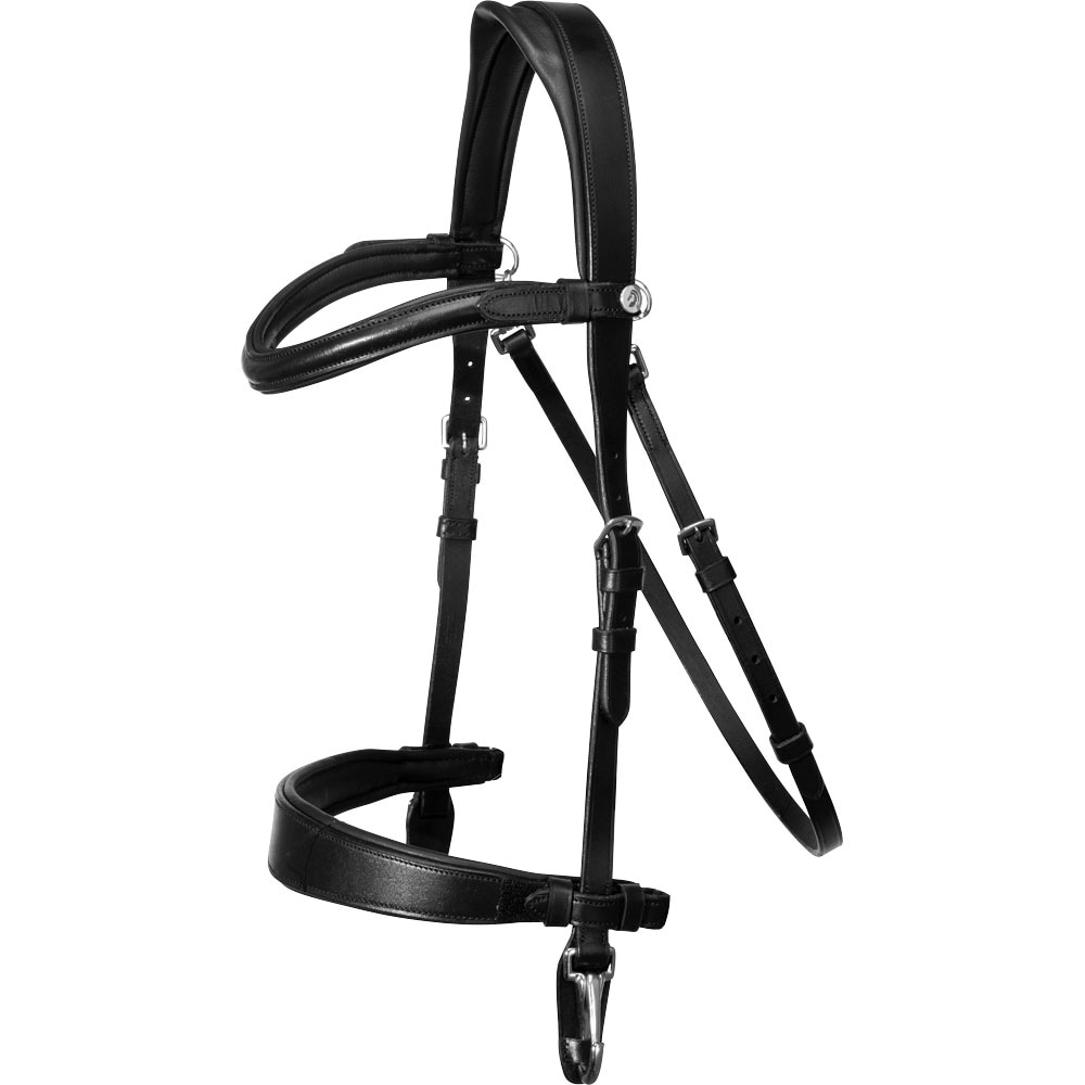 Suitset Frondeur Fairfield®