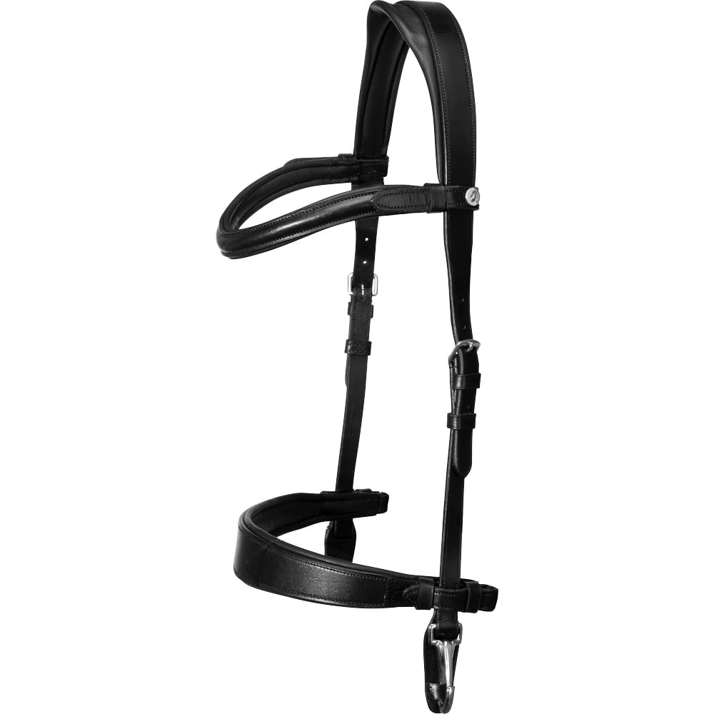 Suitset Frondeur Fairfield®