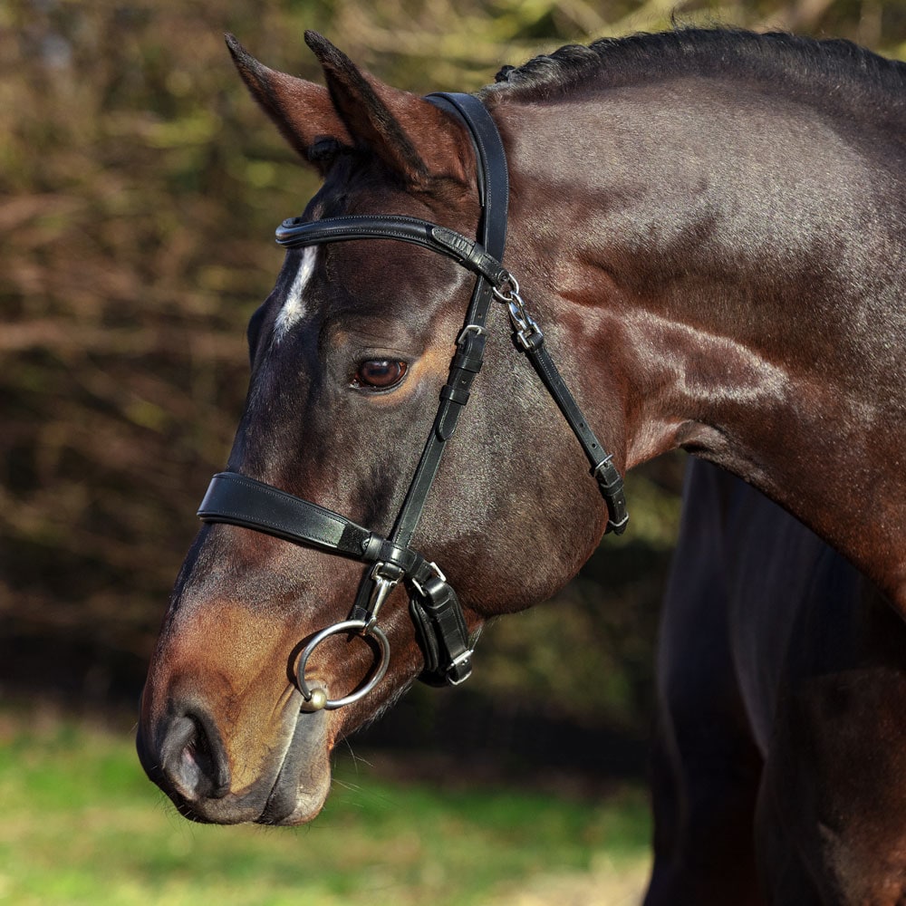 Suitset Frondeur Fairfield®