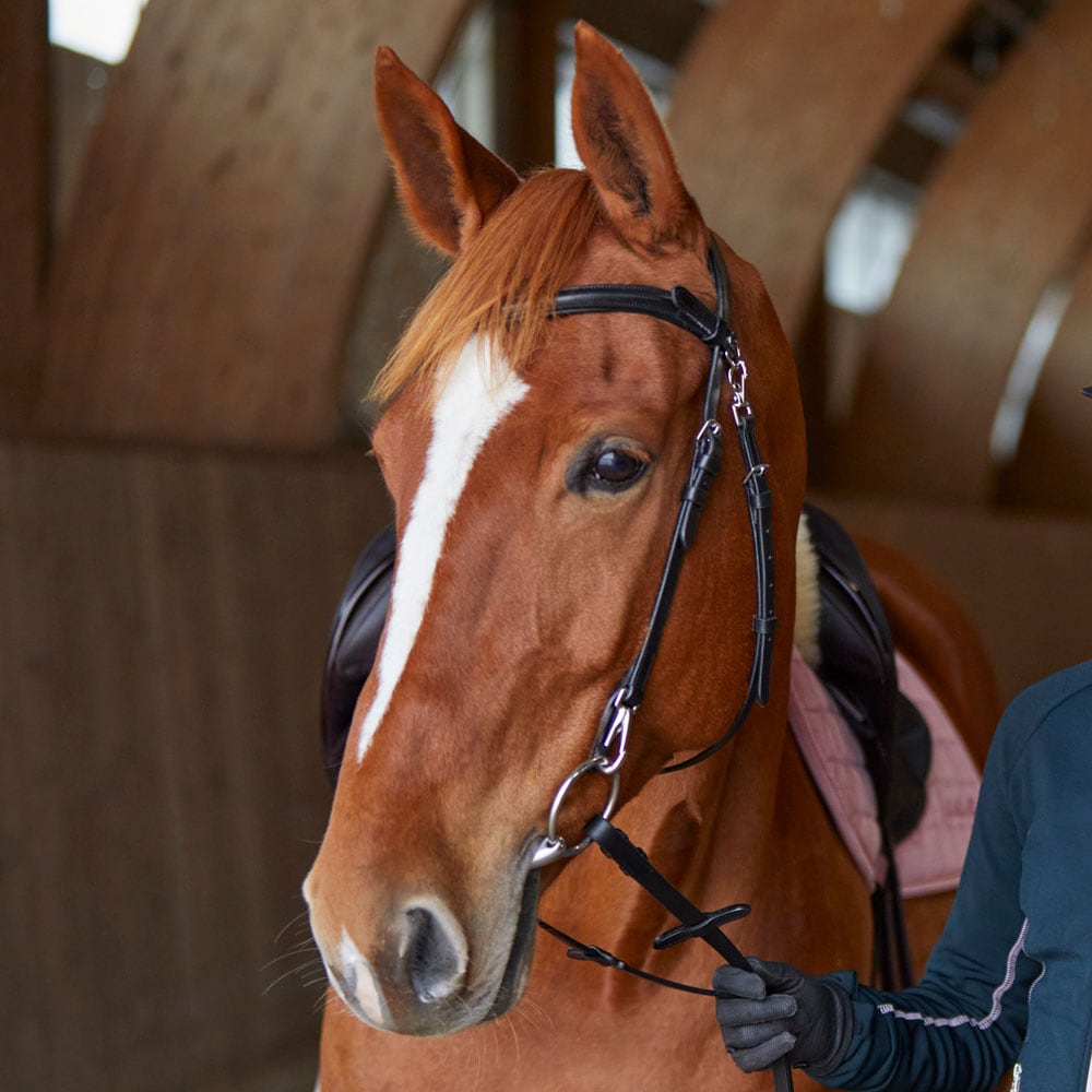 Suitset Frondeur Fairfield®