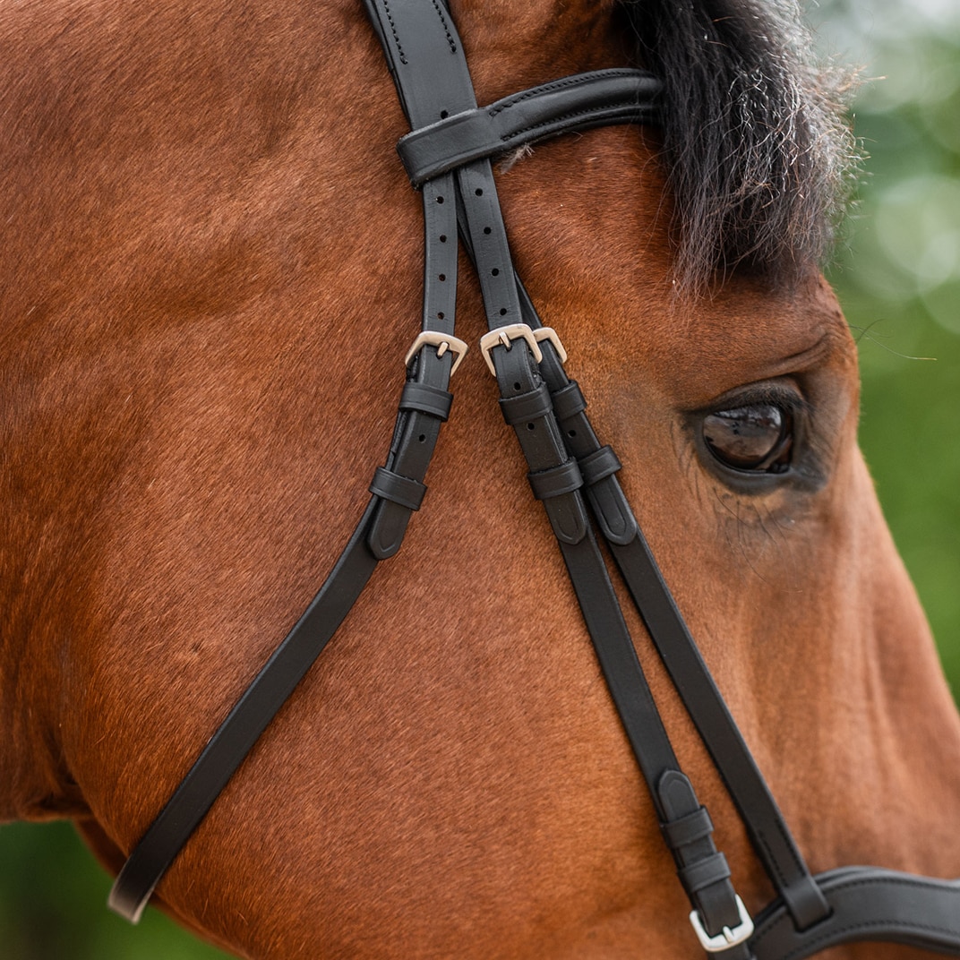 Aachensuitset Newmarket Fairfield®