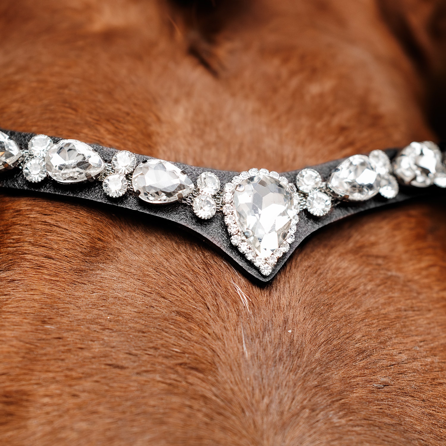 Otsapanta Celine Fairfield®