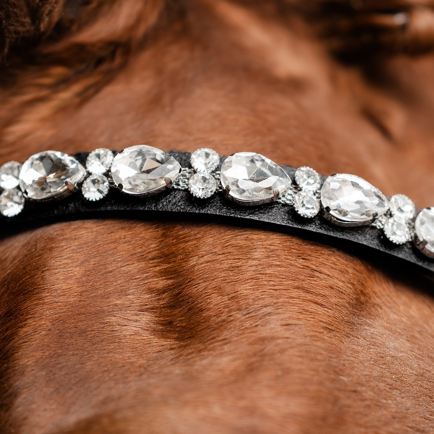 Otsapanta Celine Fairfield®