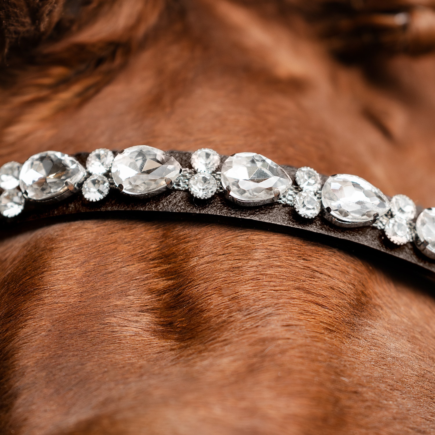 Otsapanta Celine Fairfield®