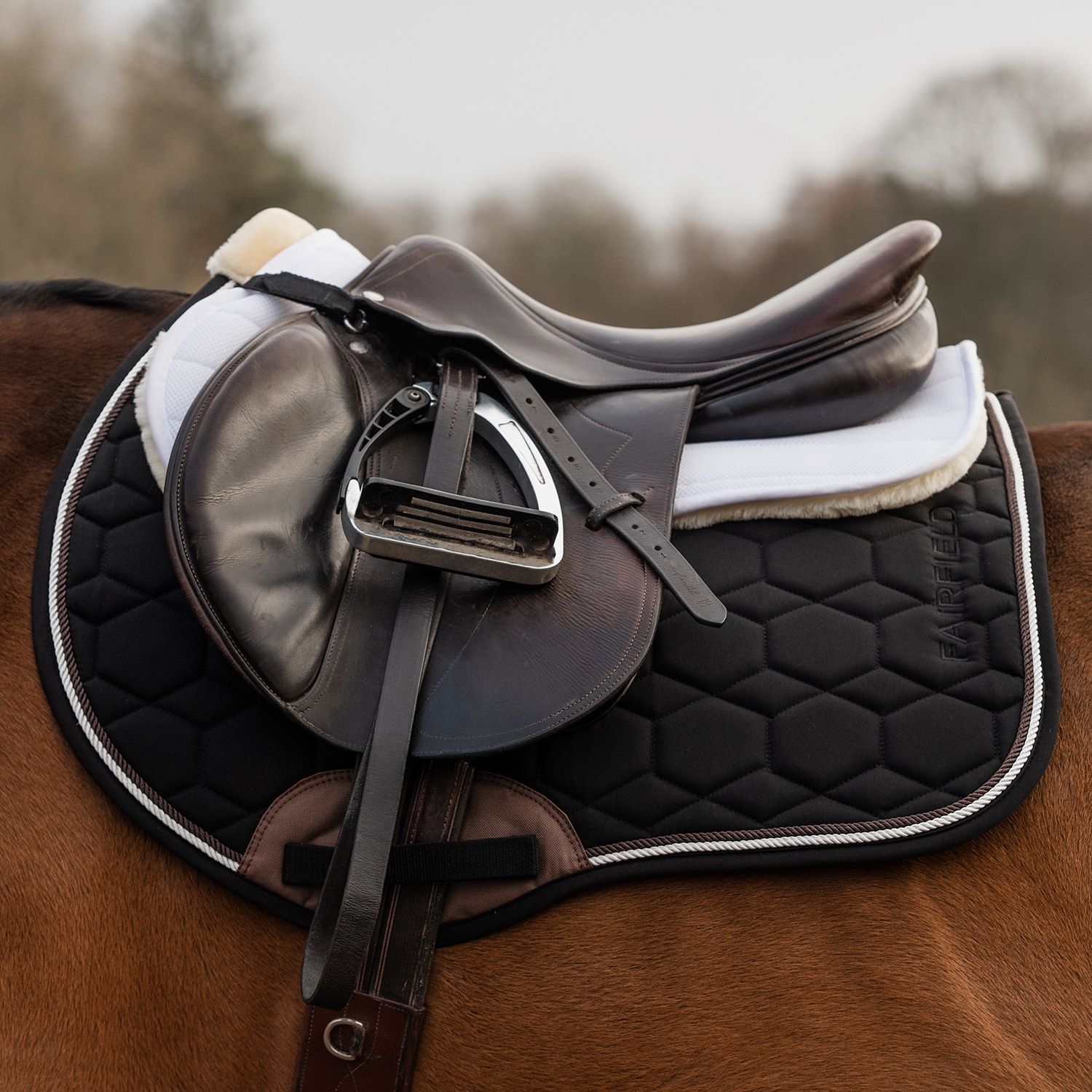 Alusta 3D Air Shock EquiXpert®