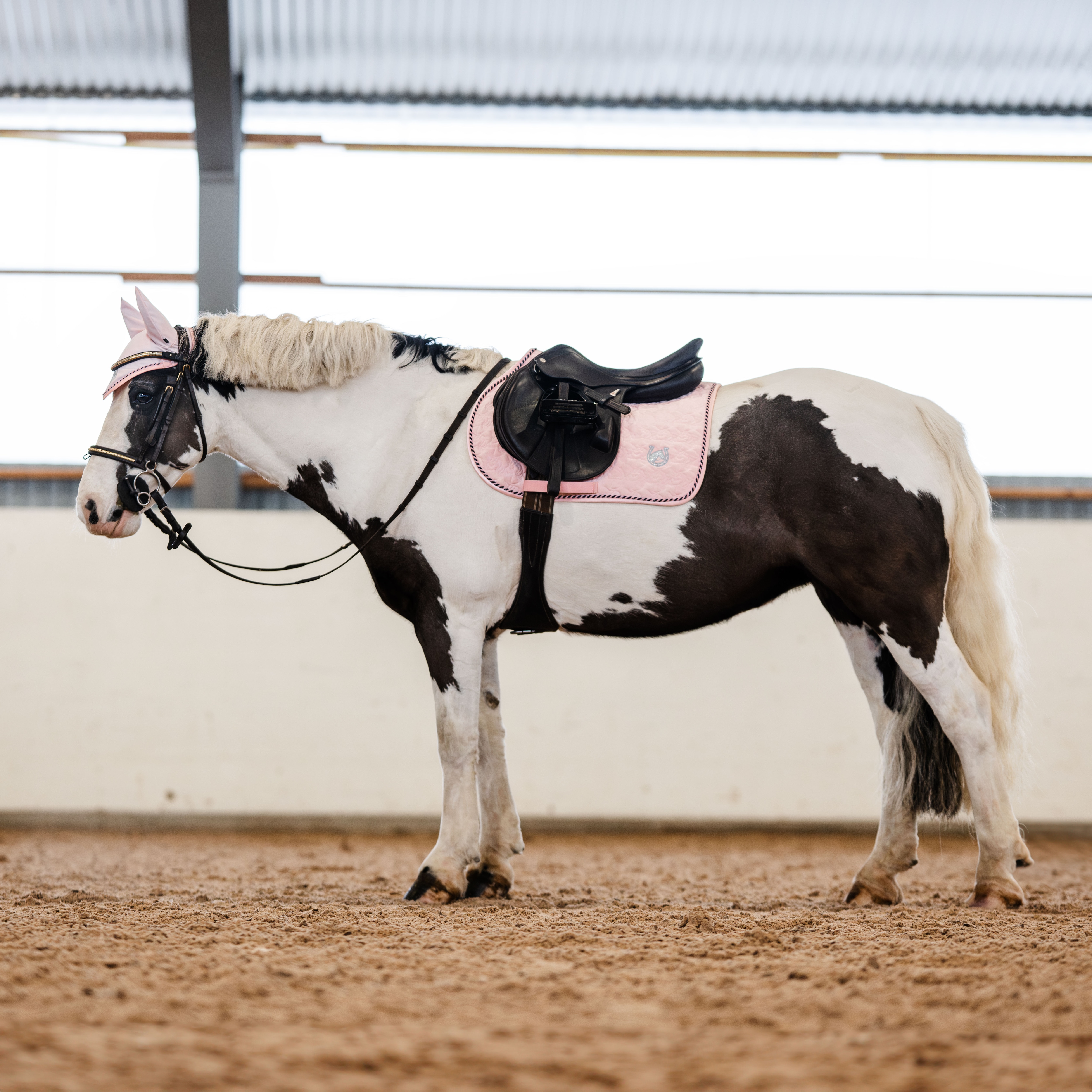 Yleisneliöhuopa Silas CRW®