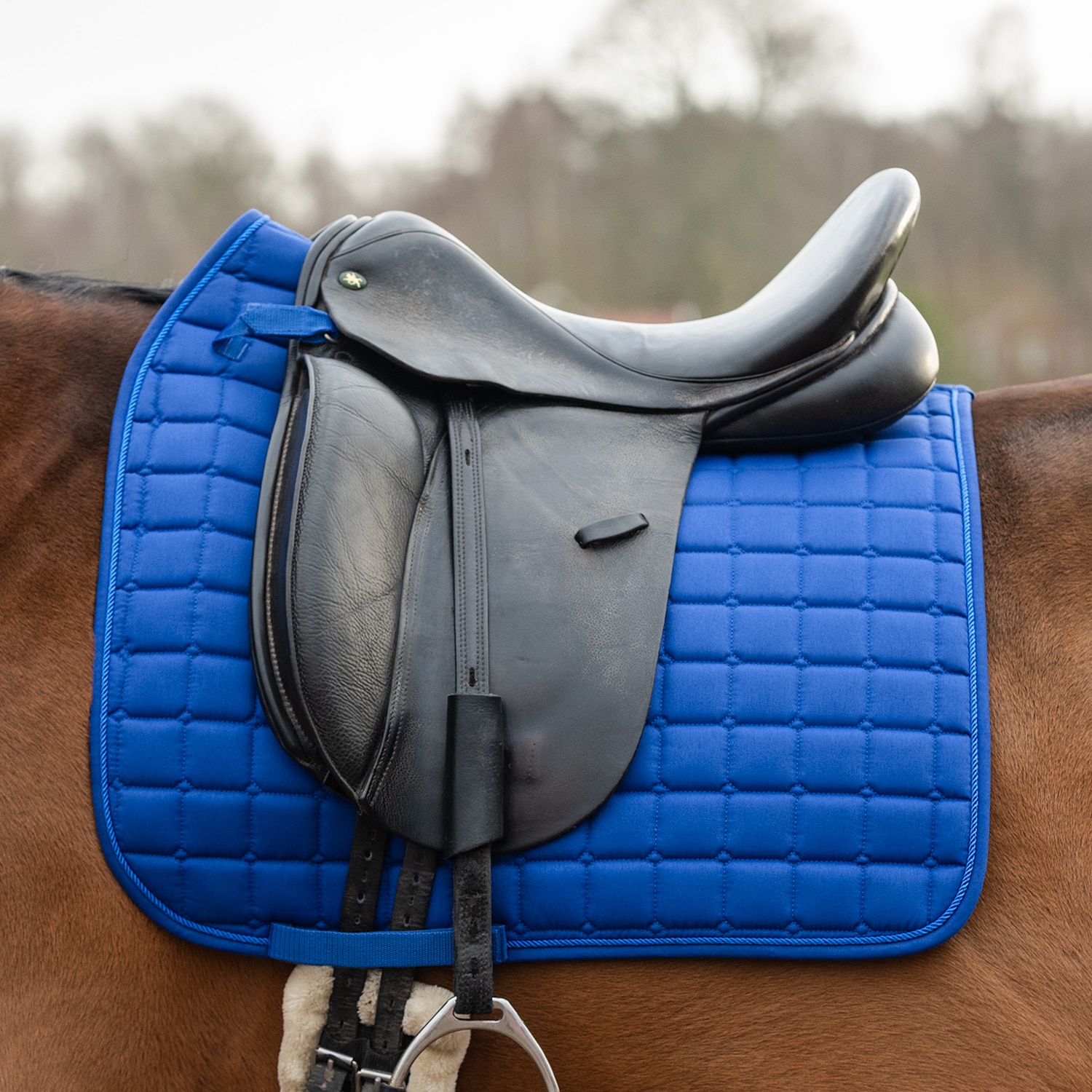 Kouluneliöhuopa Kerry Fairfield®