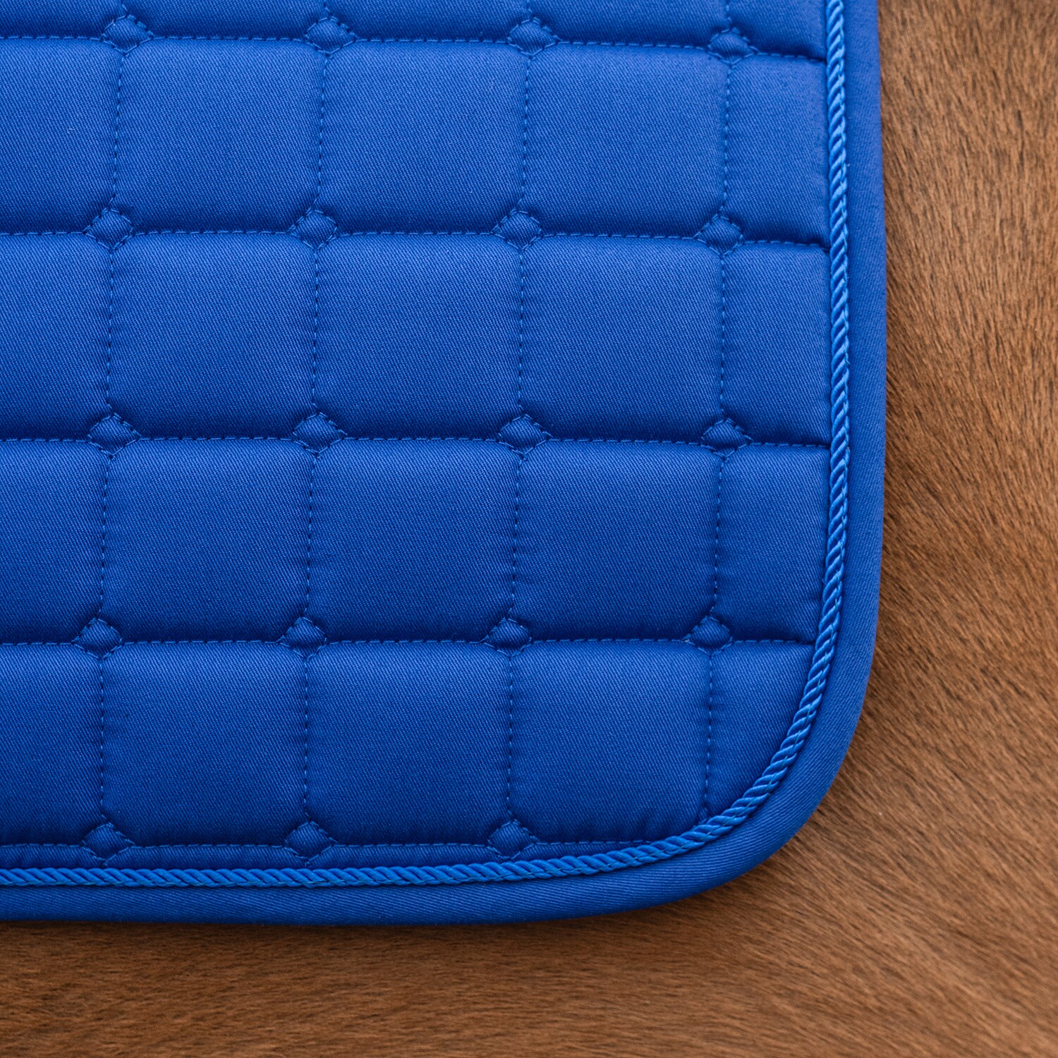 Kouluneliöhuopa Kerry Fairfield®