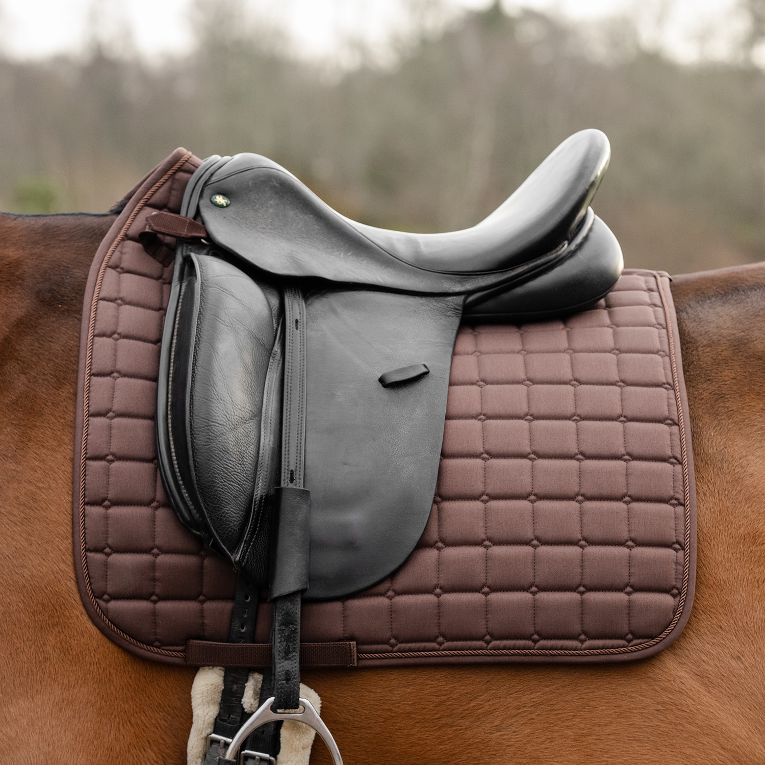 Kouluneliöhuopa Kerry Fairfield®