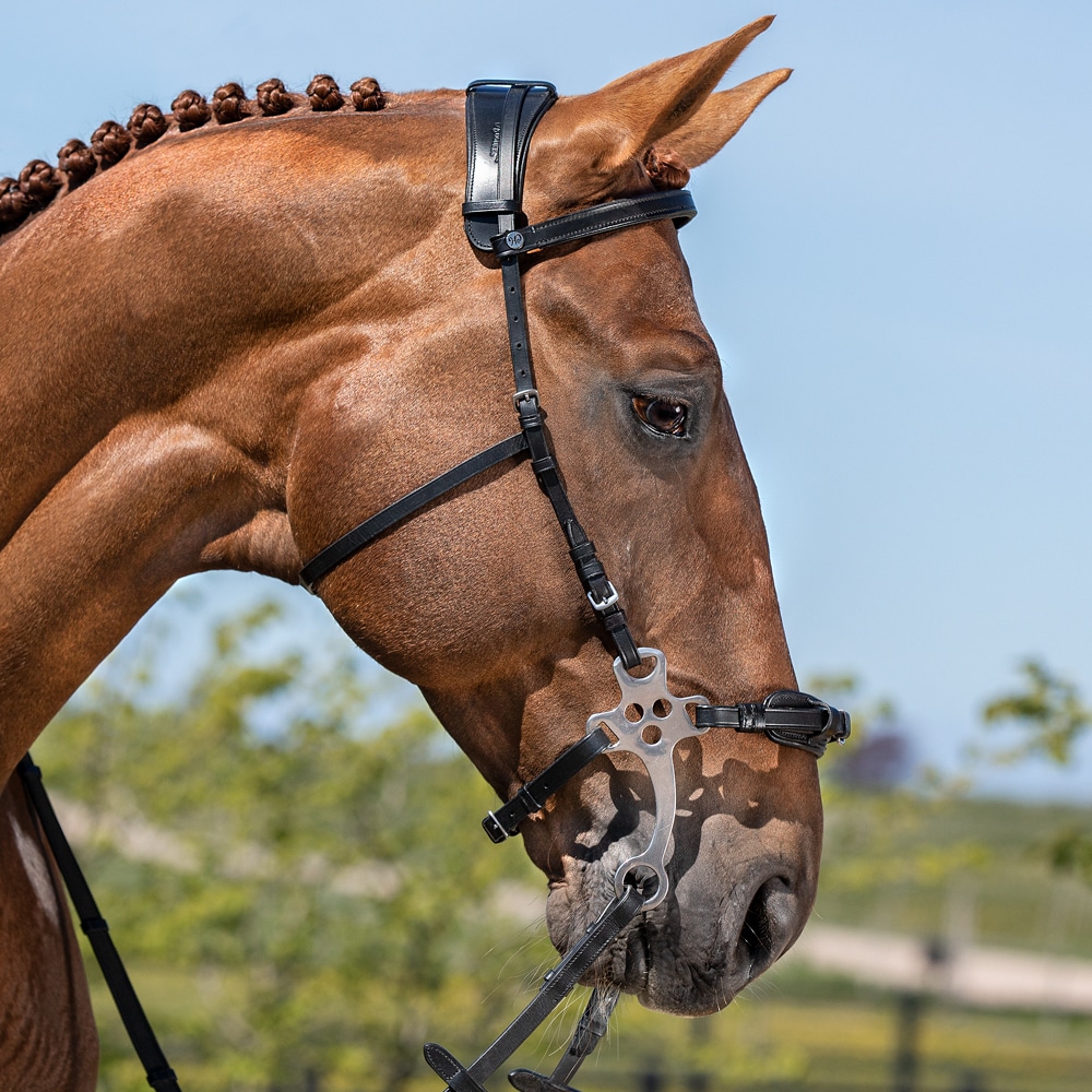 Poskiremmit Hackamore  Fairfield®