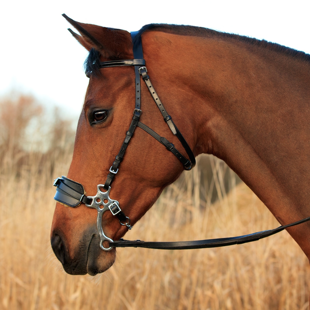 Poskiremmit Hackamore  Fairfield®