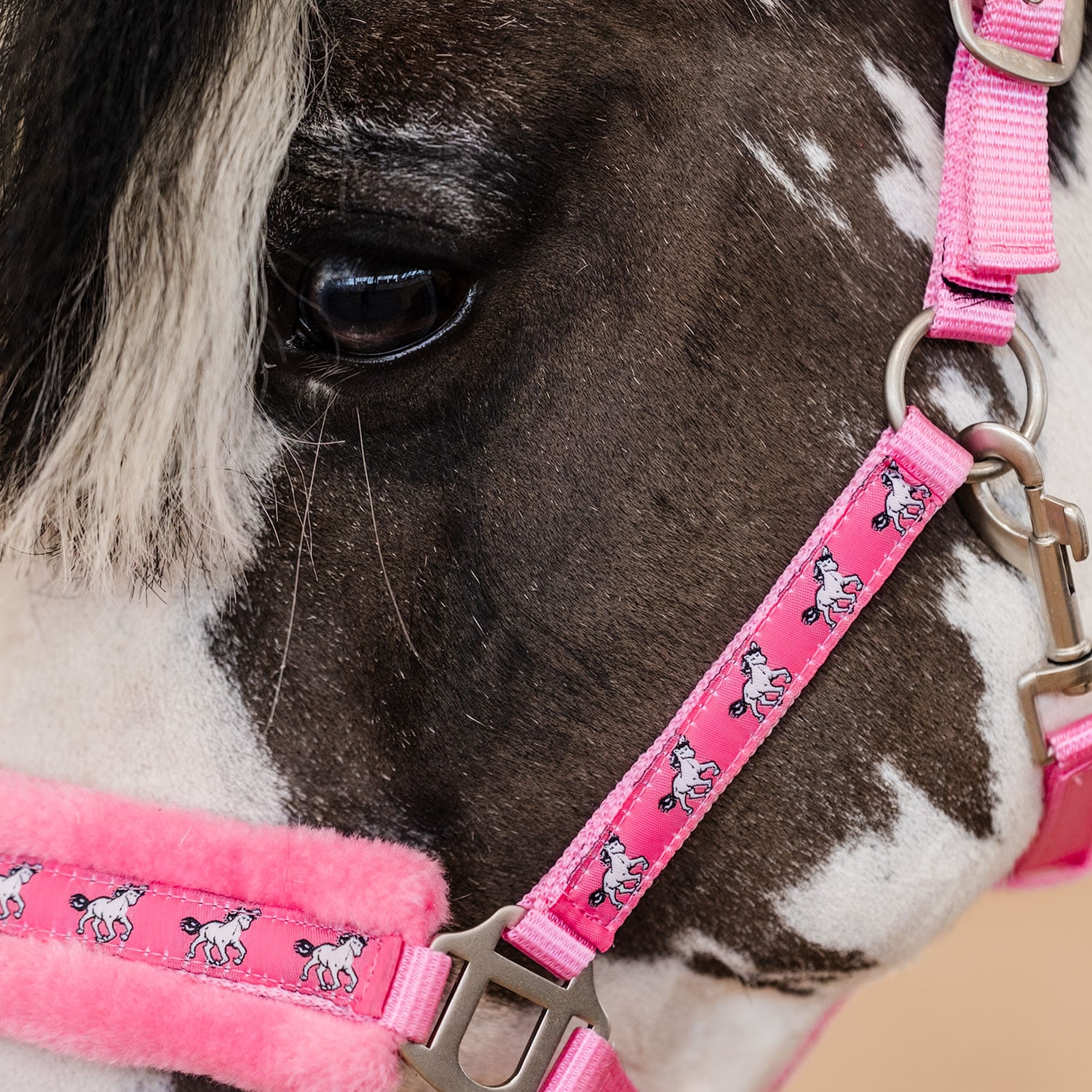 Riimu Robin Fairfield®