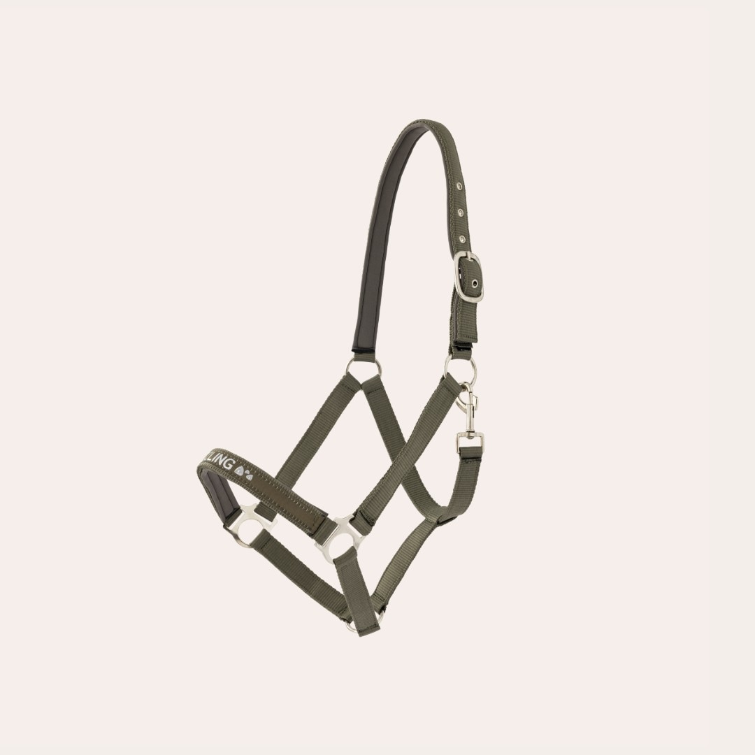 Riimu Honey Fairfield®