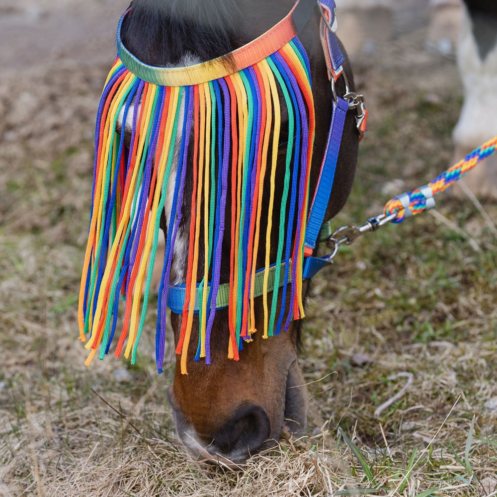 Kärpäsotsapanta  Rainbow Fairfield®