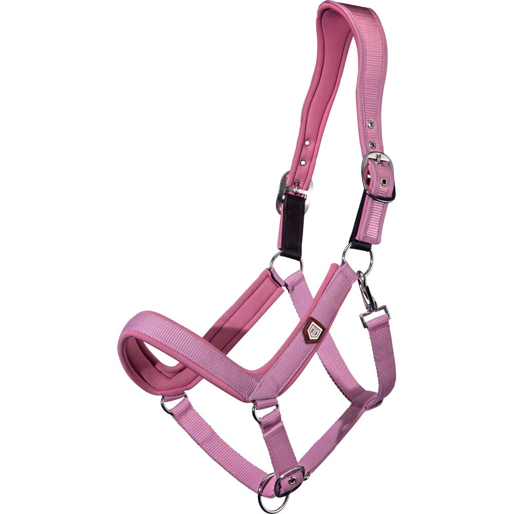 Riimu  Fantus Trinity®
