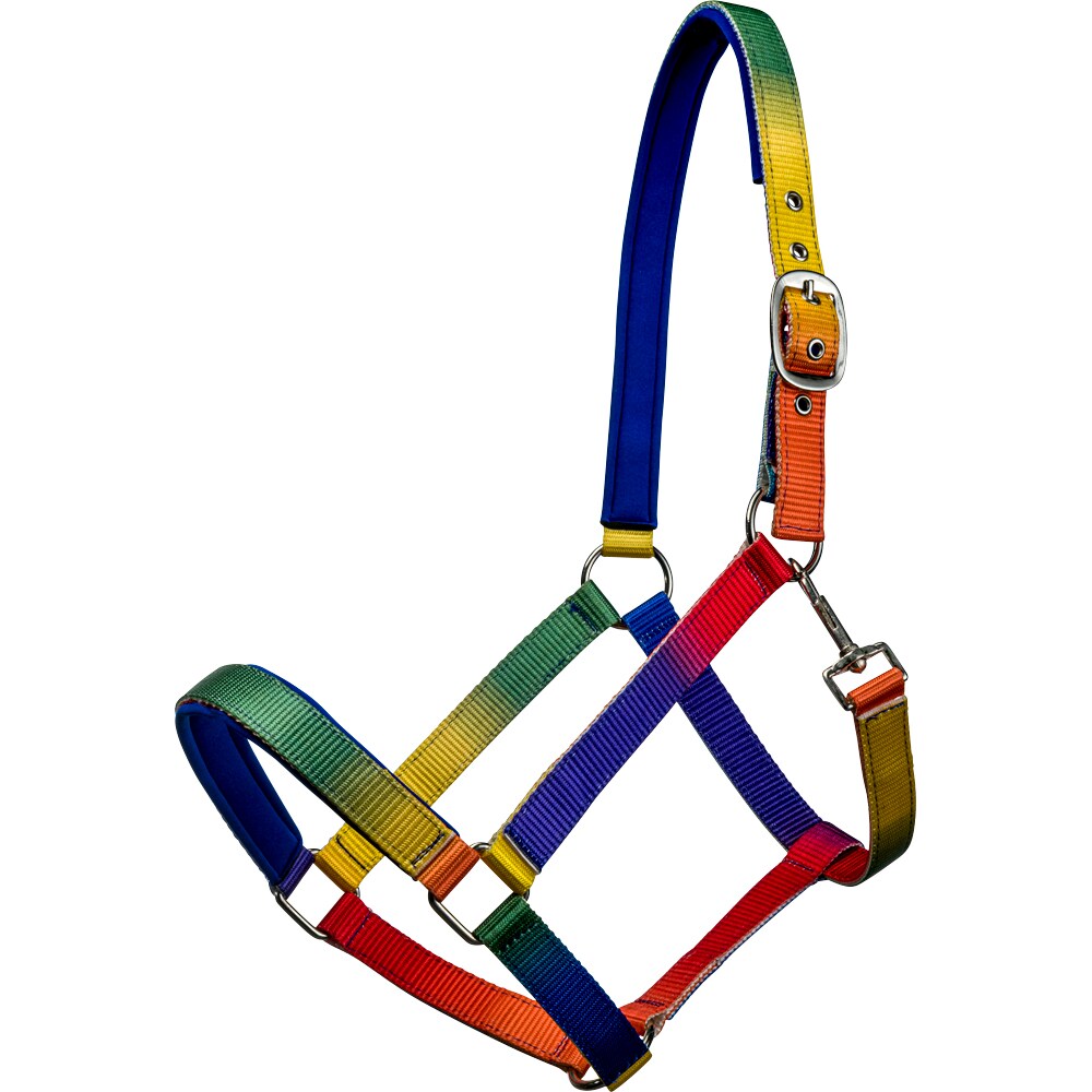 Riimu  Rainbow Fairfield®