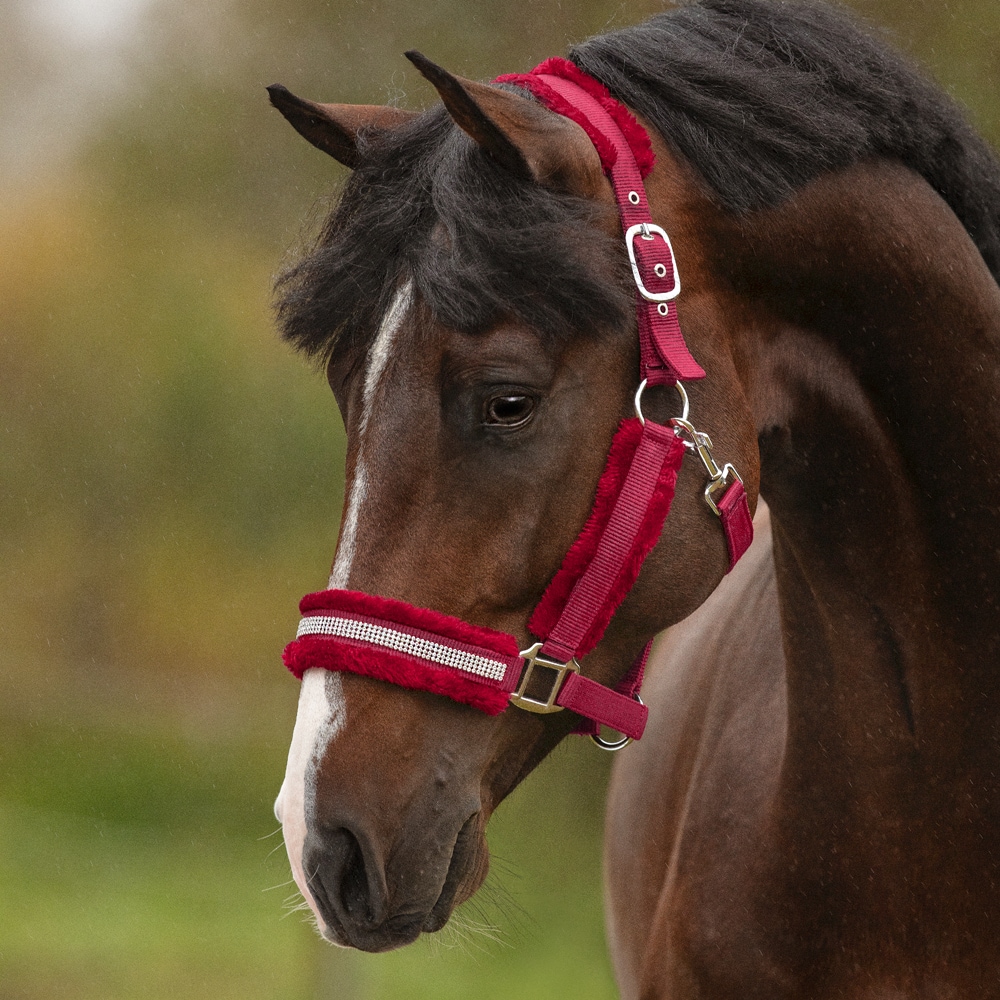 Riimu Rustibus Fairfield®