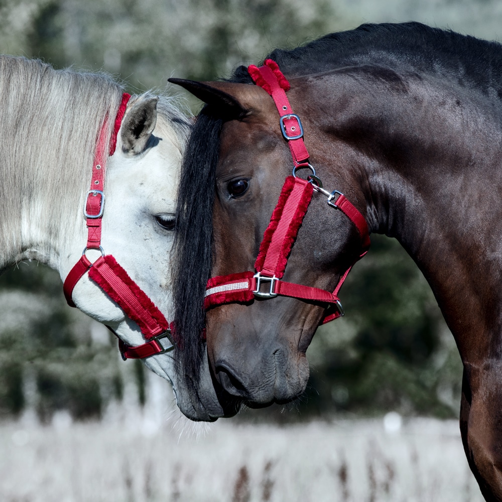 Riimu Rustibus Fairfield®