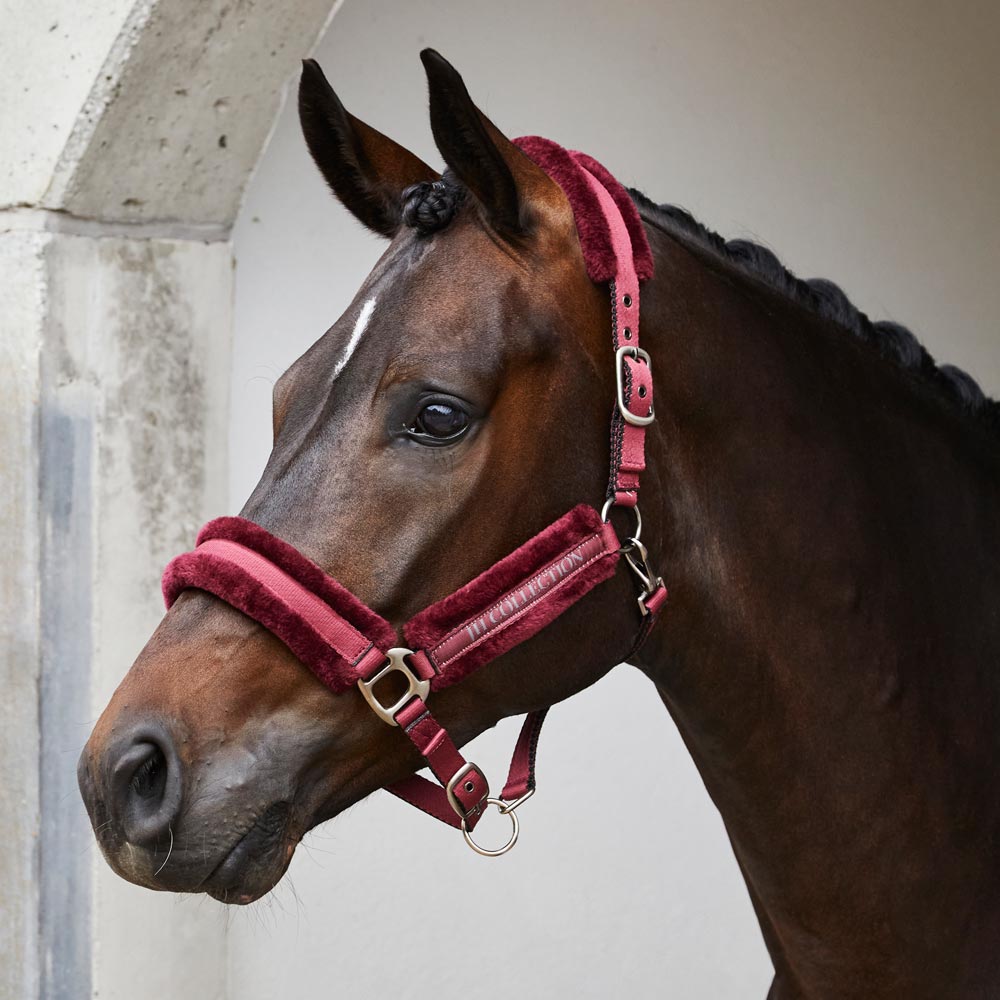 Riimu Novara JH Collection®