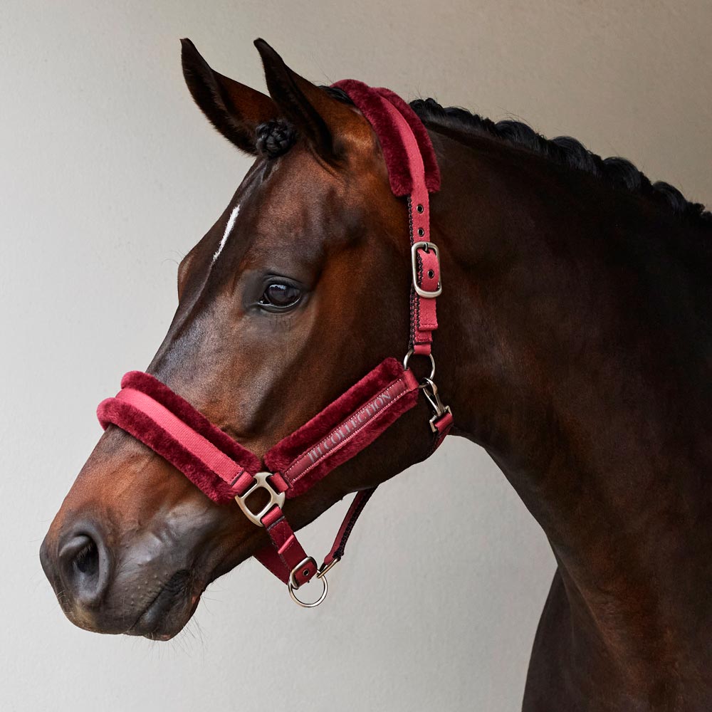 Riimu Novara JH Collection®