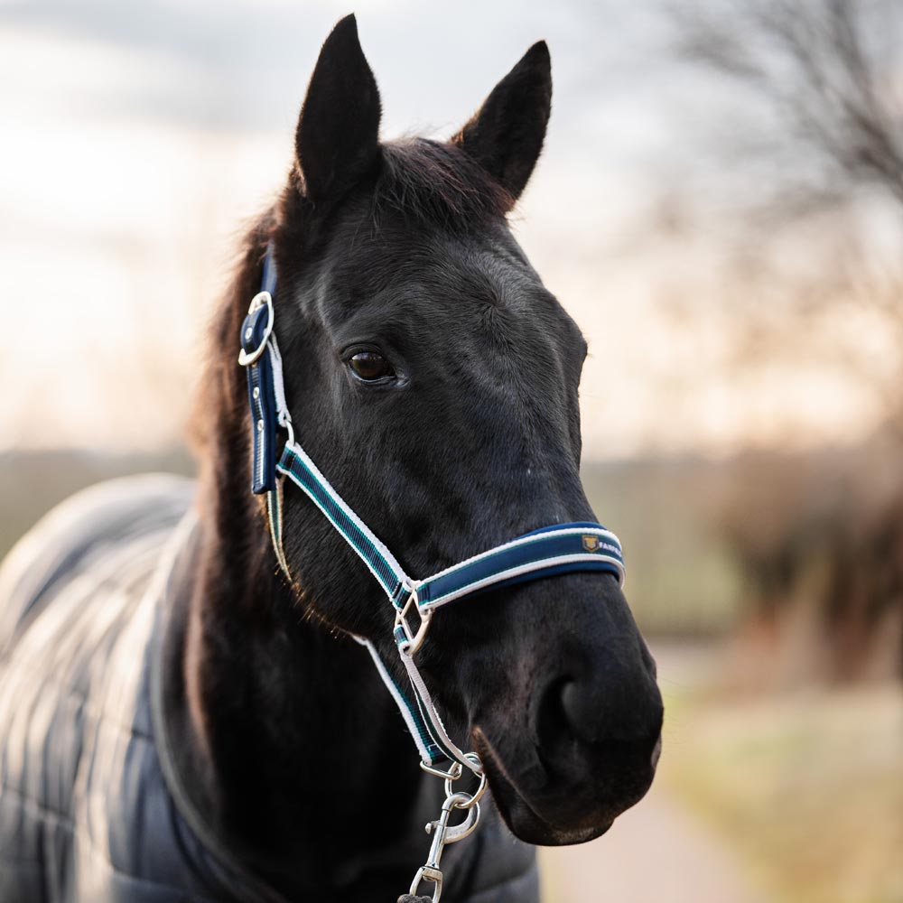 Riimu Acme Fairfield®