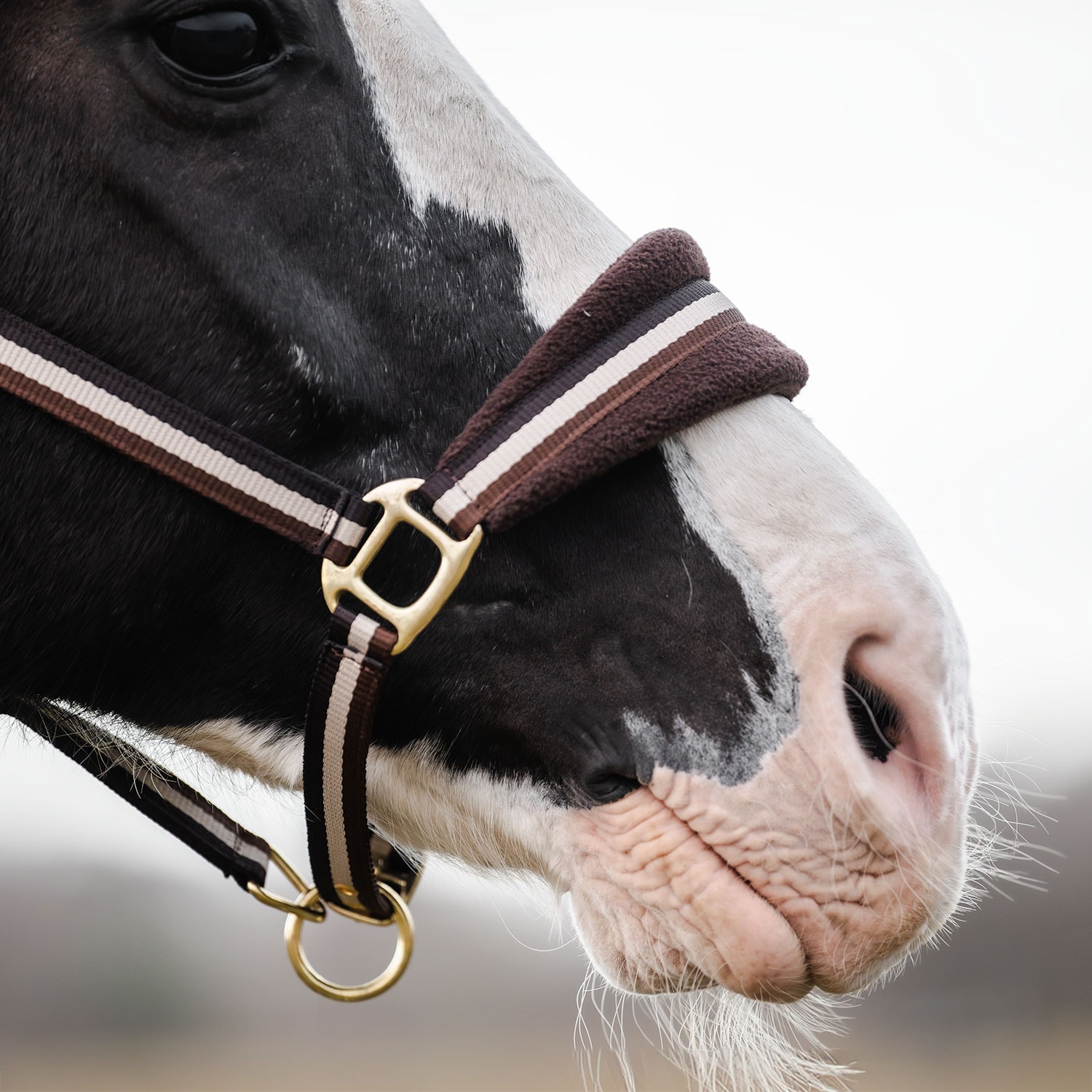 Riimu Loretin Fairfield®