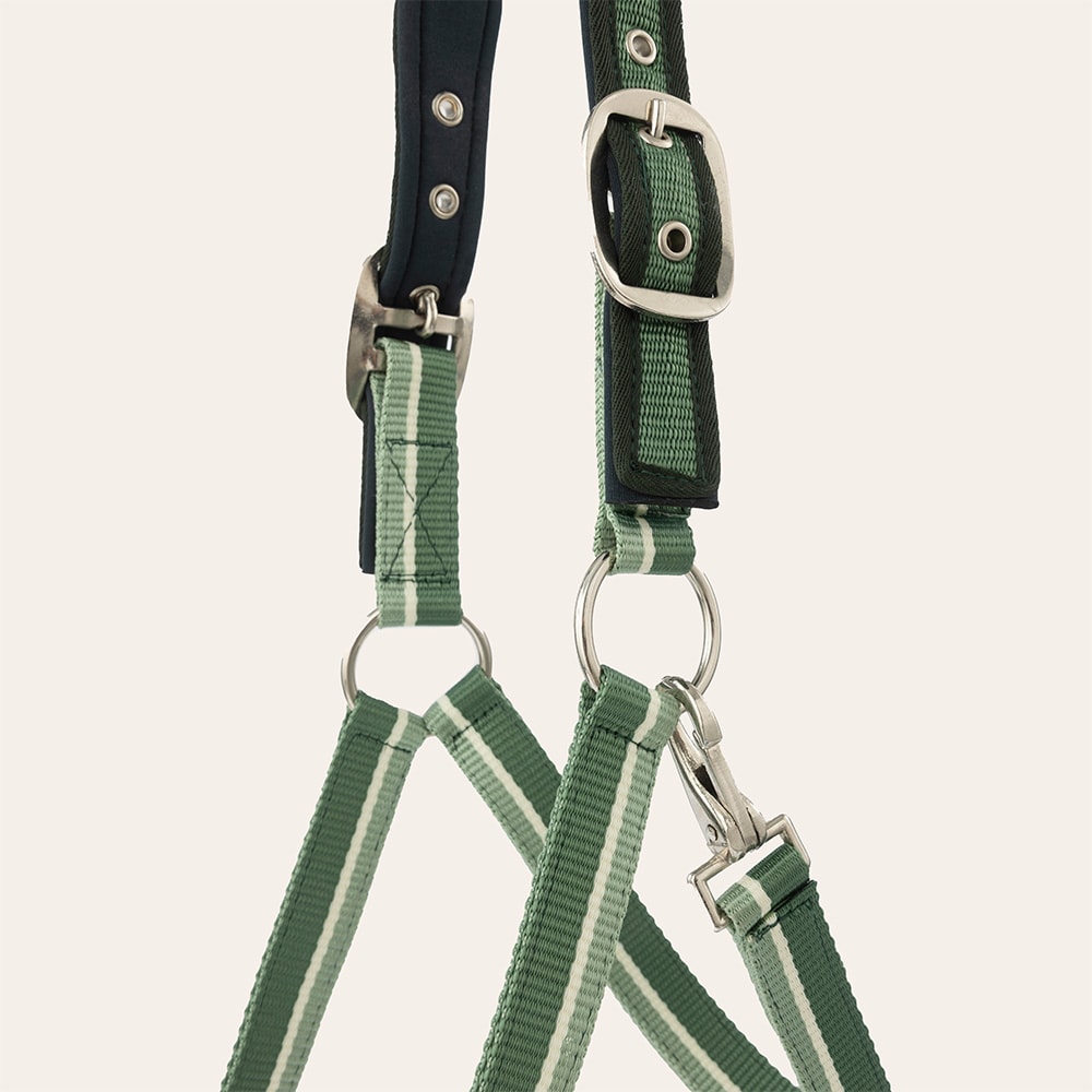 Riimu  Nimmerdor Fairfield®