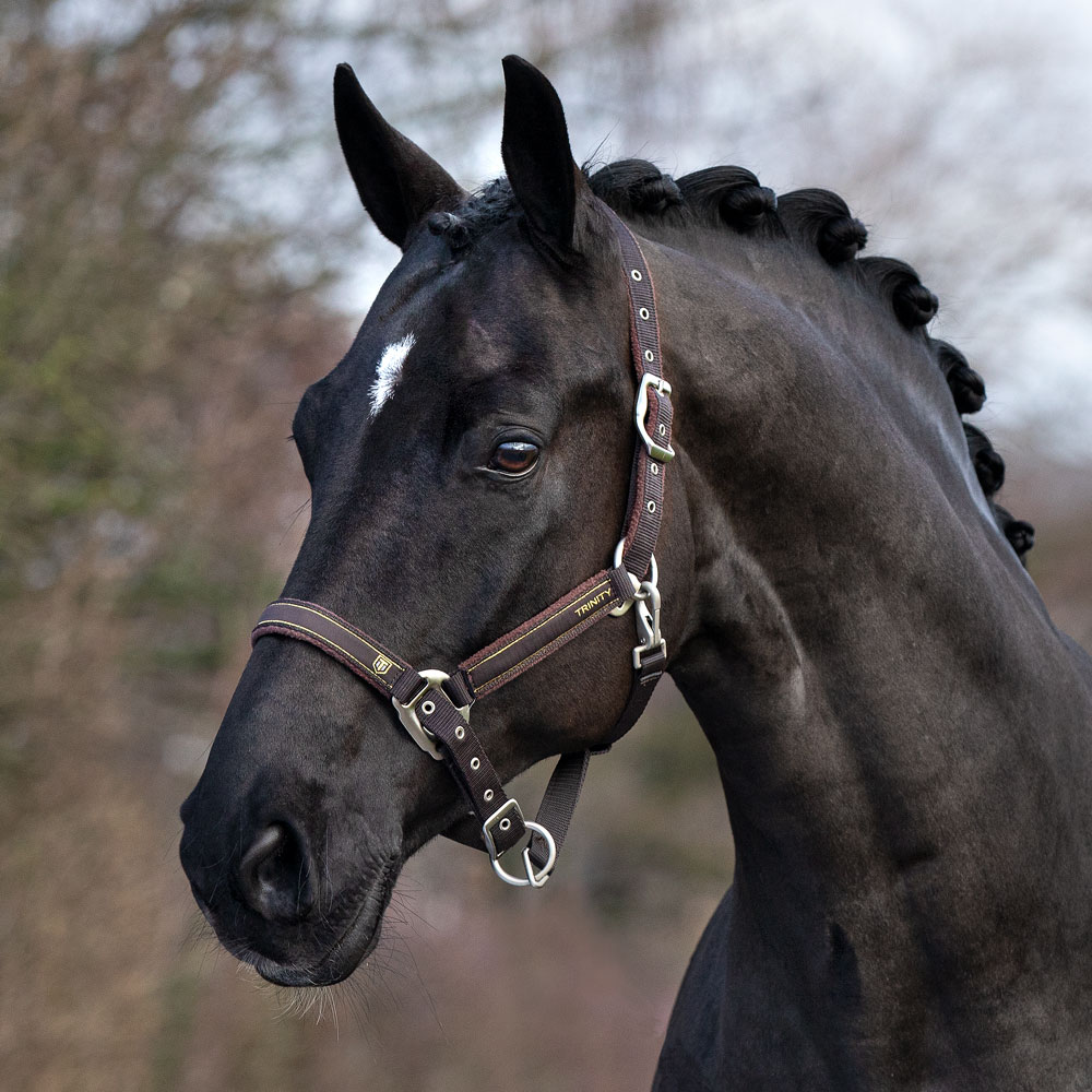 Riimu Landgraf Trinity®