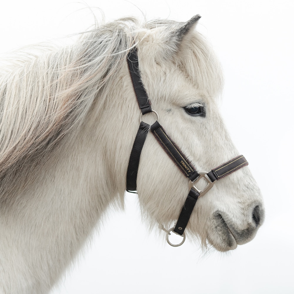 Riimu Landgraf Trinity®