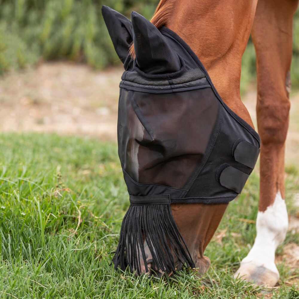 Kärpäshuppu  Everglade Buzz EquiXpert®