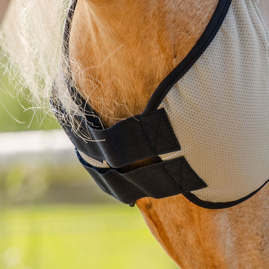 Kärpäshuppu Comfort Fairfield®