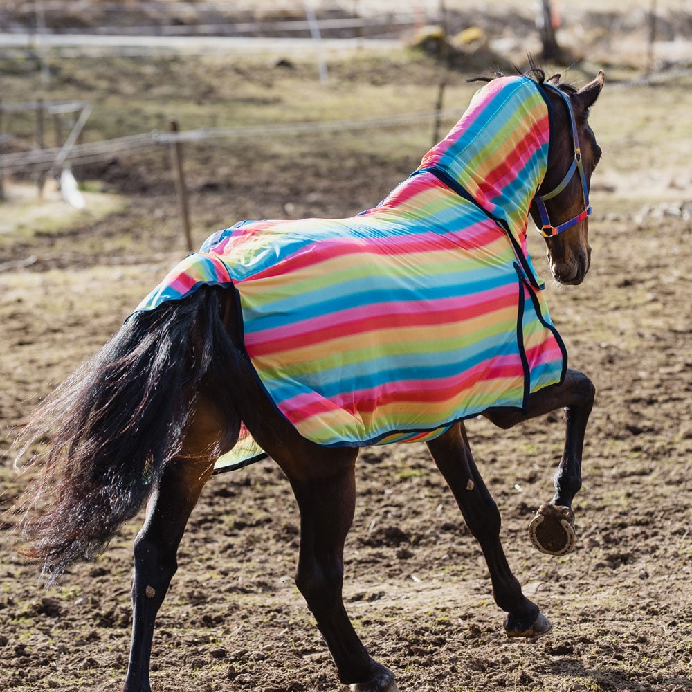 Kärpäsloimi  Rainbow Fairfield®