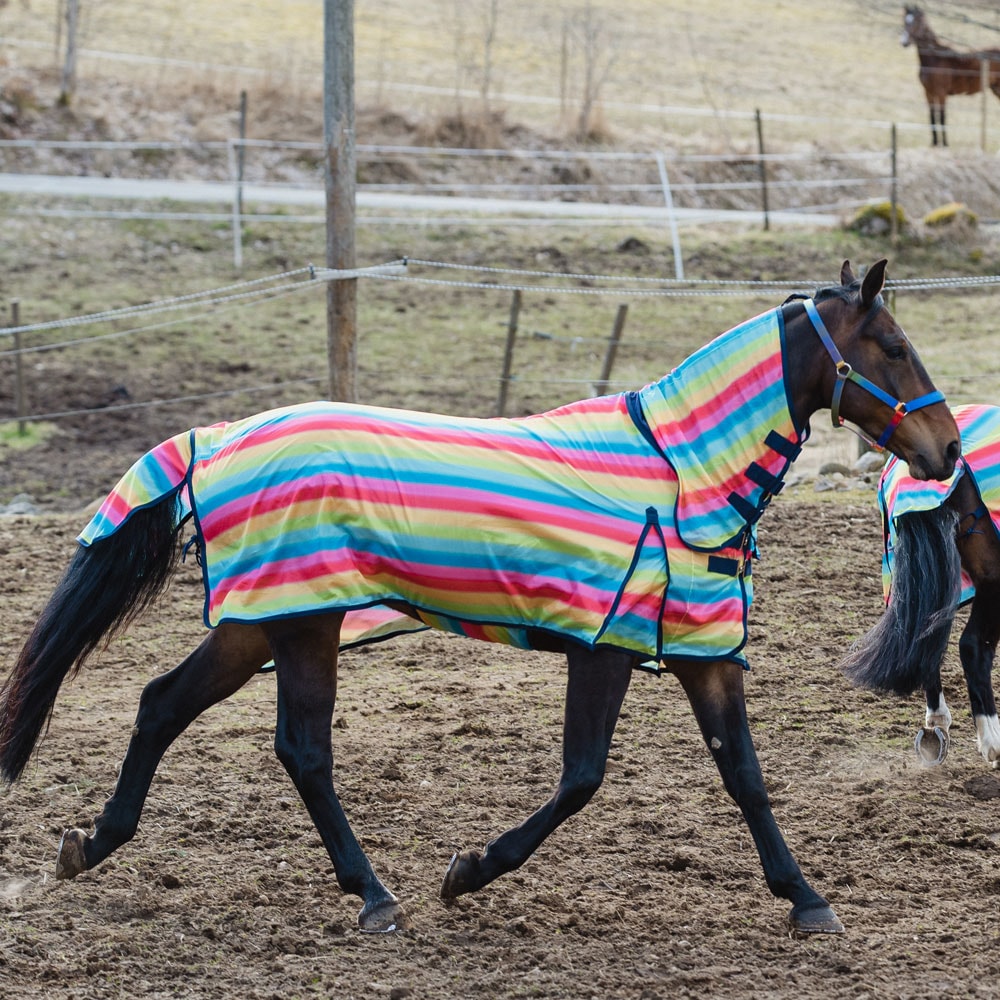 Kärpäsloimi  Rainbow Fairfield®