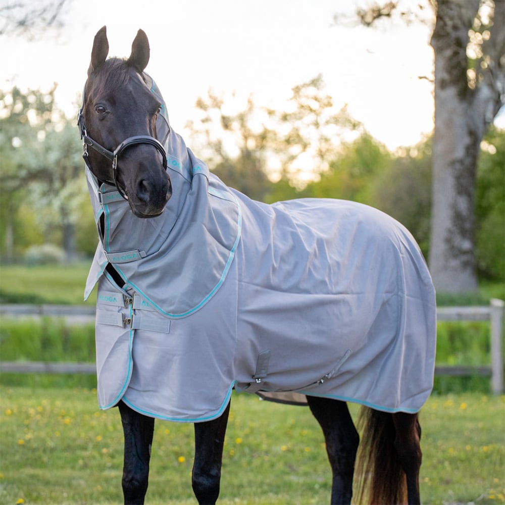 Kärpäsloimi  Fly Aloga Equestrian