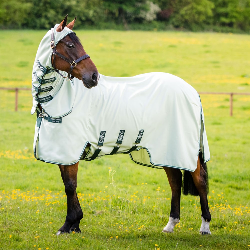 Ihottumaloimi  Rambo Hoody Horseware®