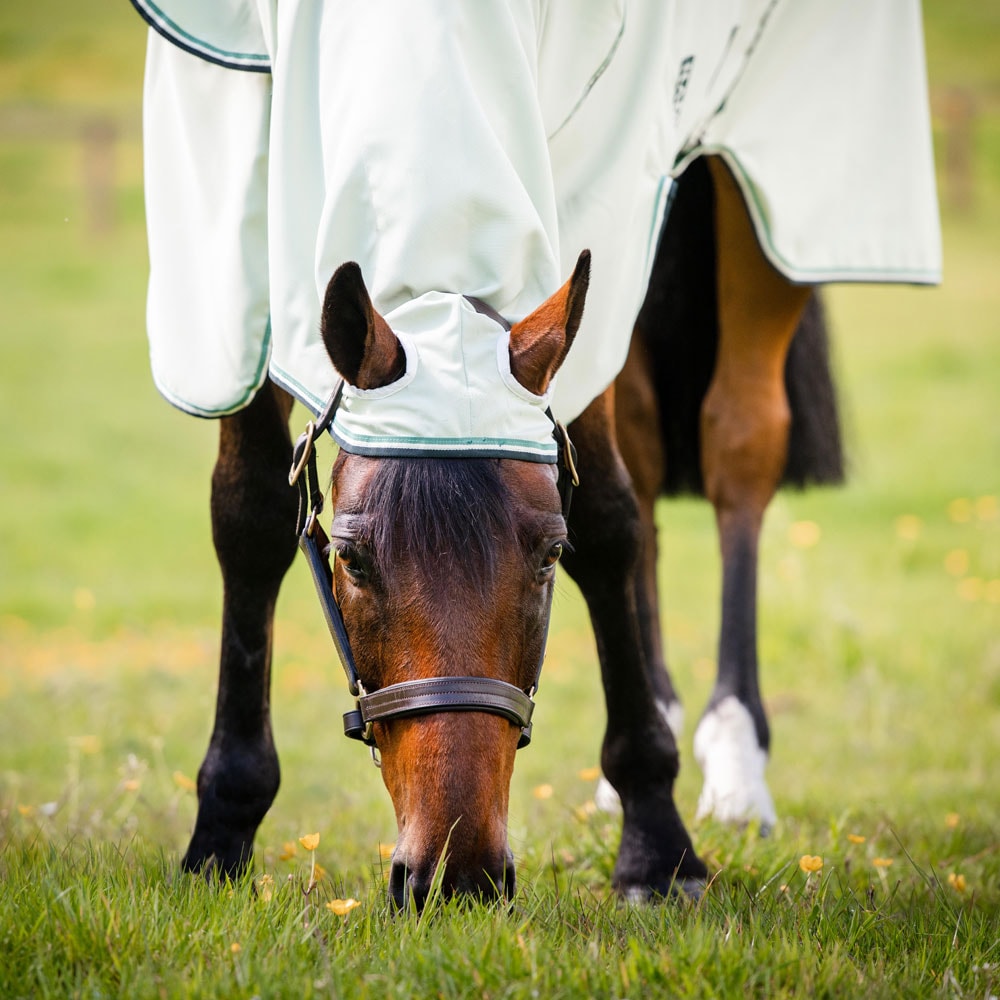 Ihottumaloimi  Rambo Hoody Horseware®