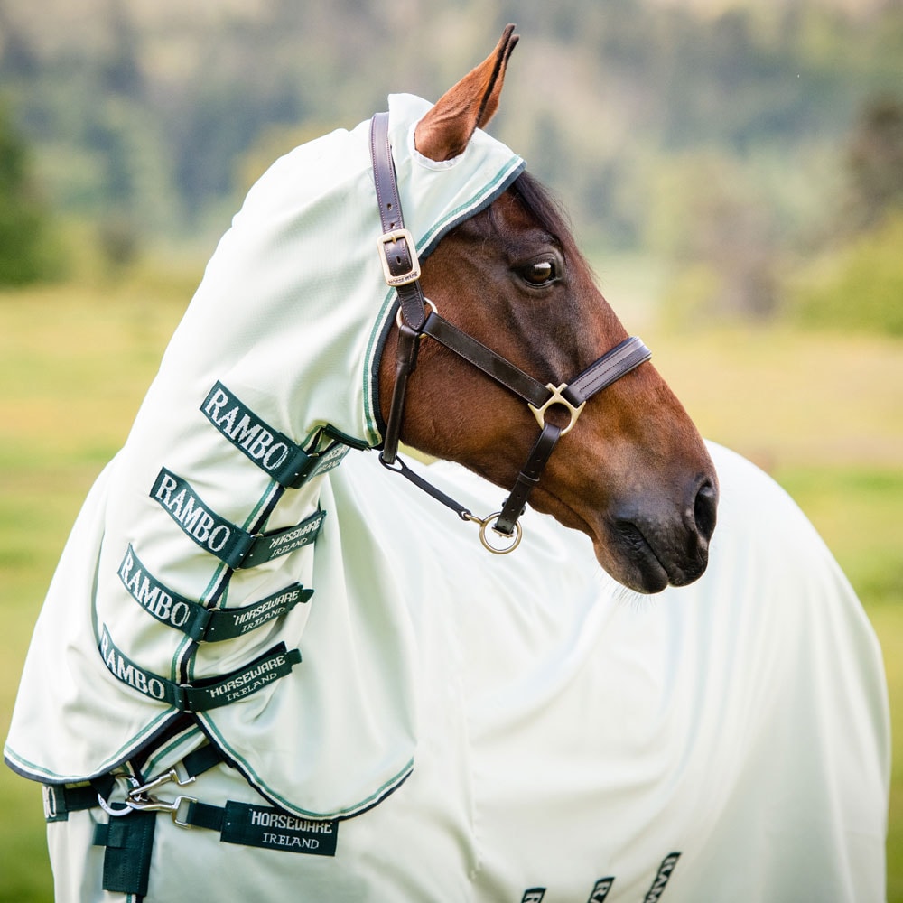 Ihottumaloimi  Rambo Hoody Horseware®