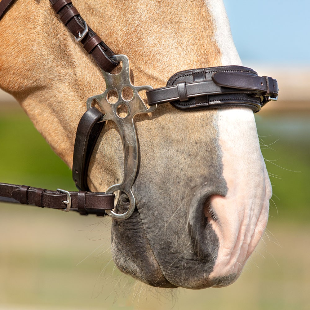 Hackamore   Fairfield®