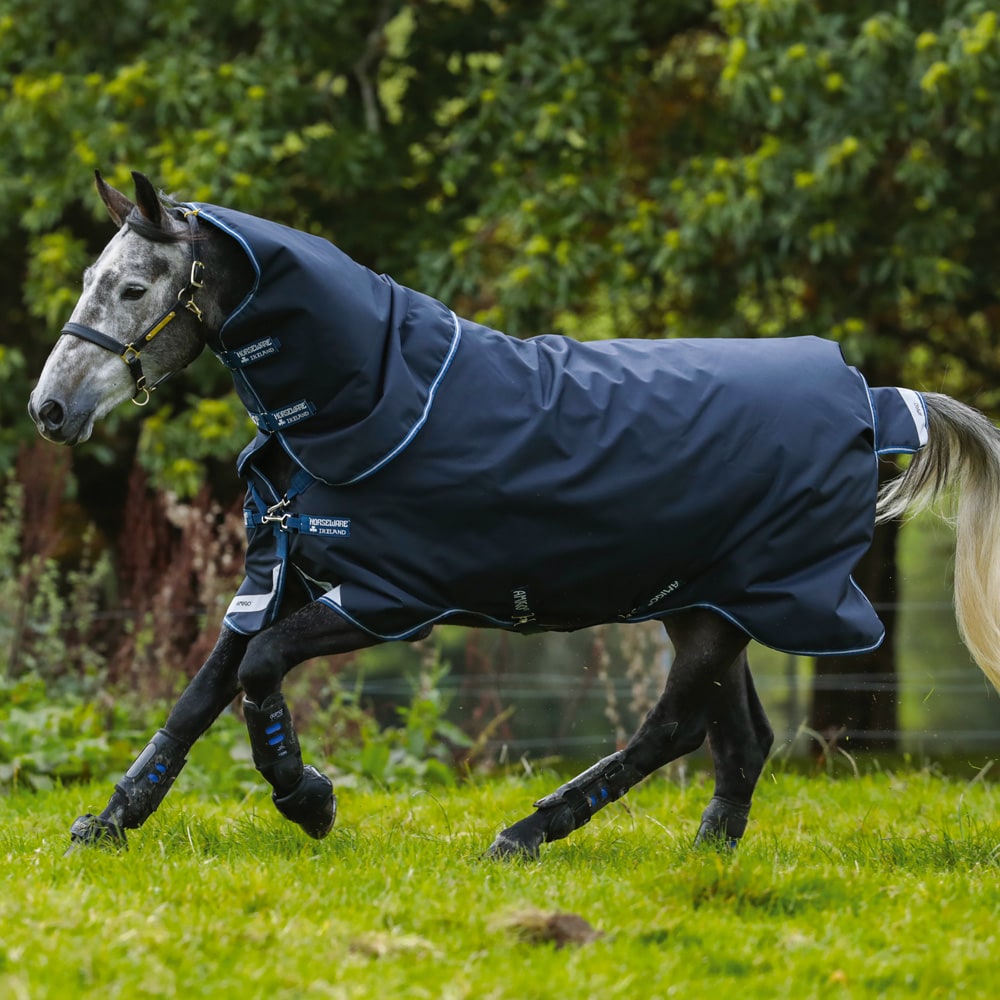Sadeloimi  Amigo Bravo 12 Plus 30 Horseware®
