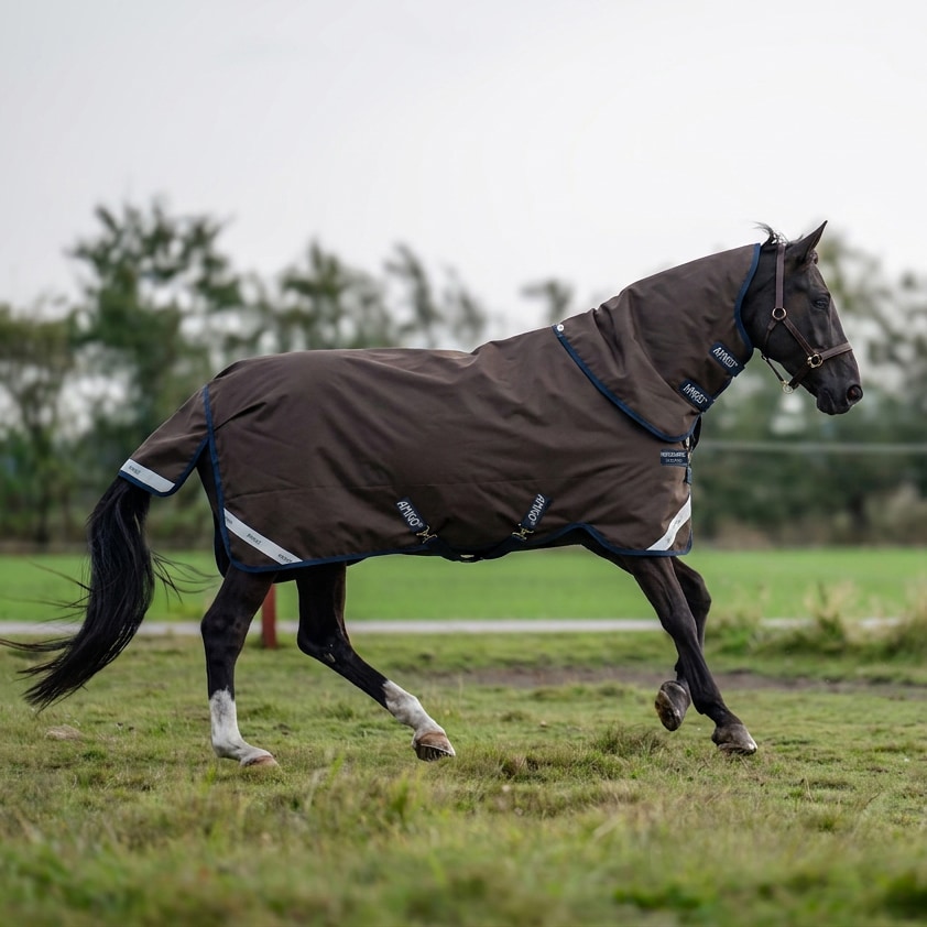 Sadeloimi Amigo 1200D Turnout 30g Horseware®